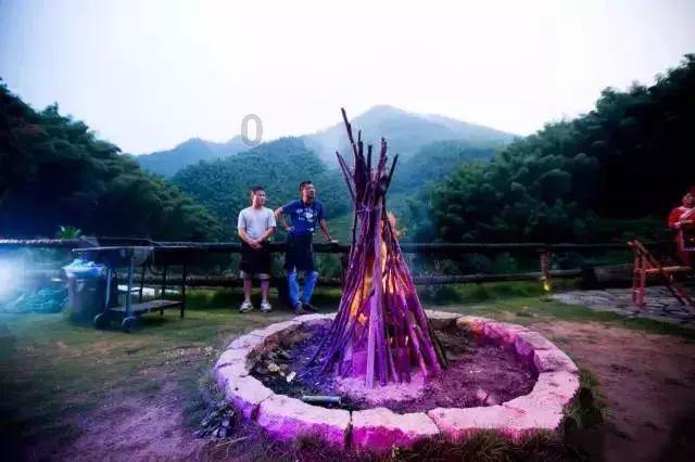 星动，只为你